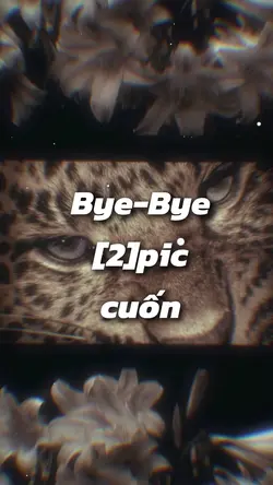 bye-bye 2pic