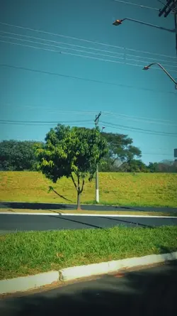 NT