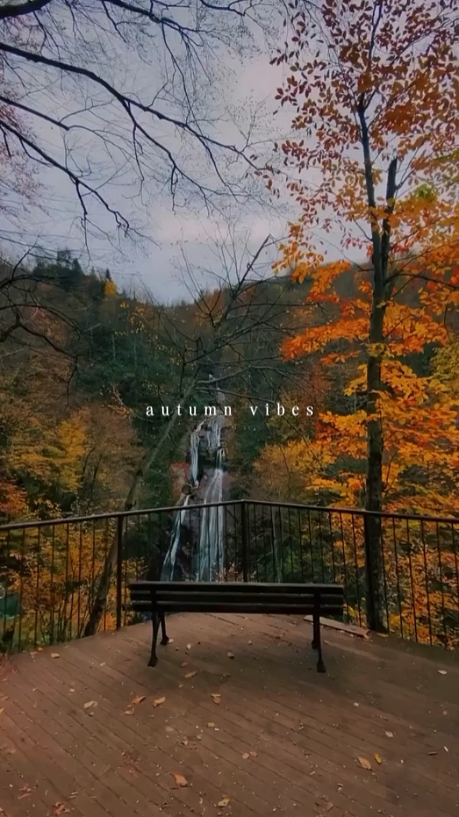 Herbst-Vibes