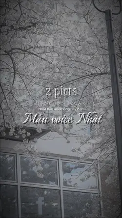 Mẫu voice Nhật