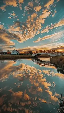 aesthetic