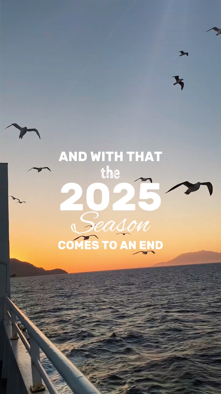 the 2025 season