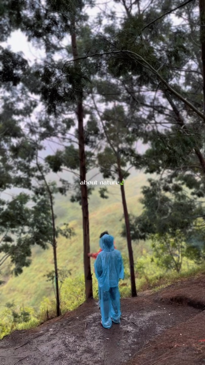 tungkol sa kalikasan