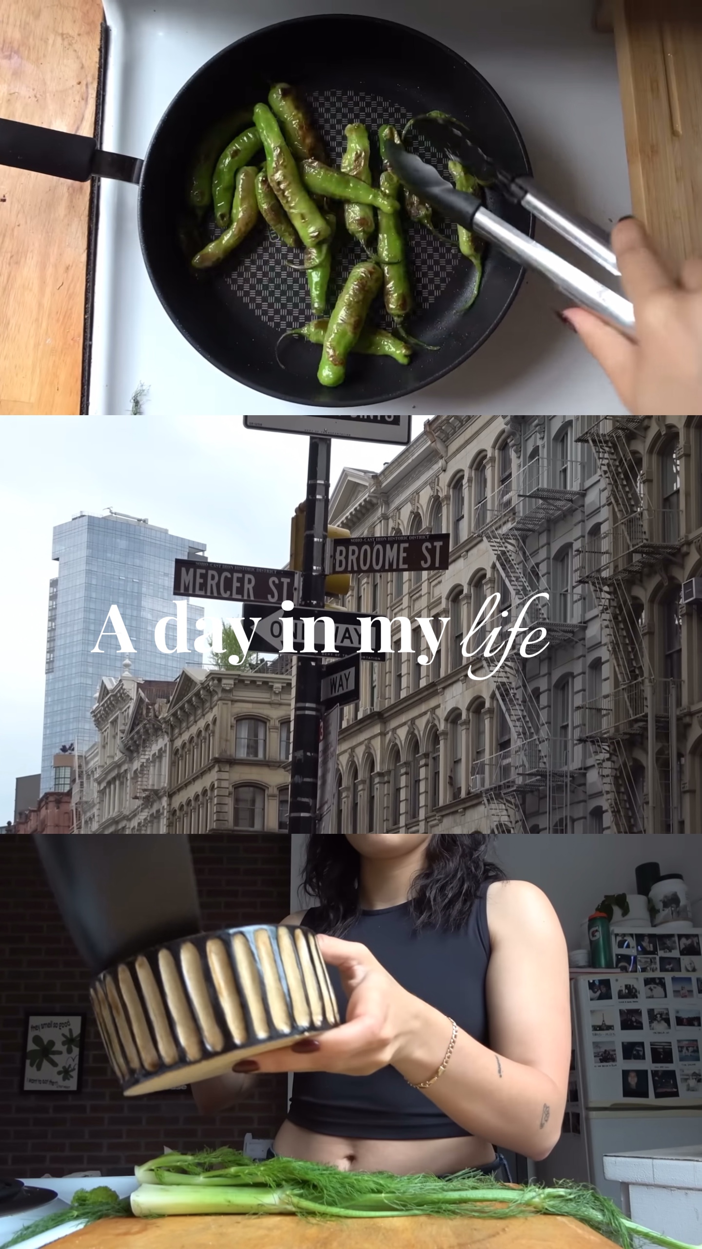 minivlog 