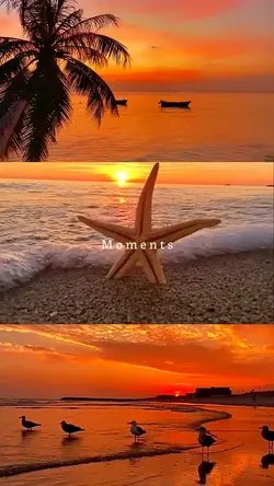 Moments
