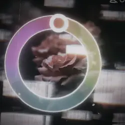 Colorwheel trend 