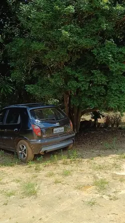 Paz na roça