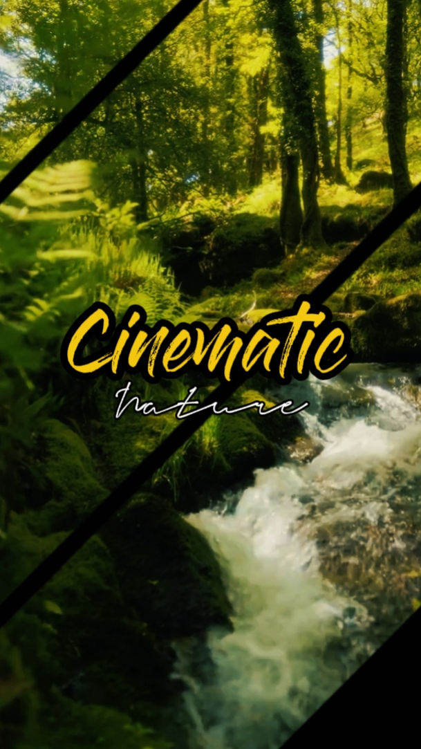 Naturaleza cinematográfica 