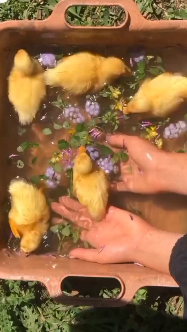 가을 반바지 3