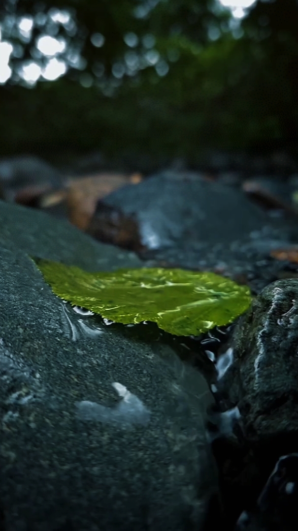 6 Videos Cinematic