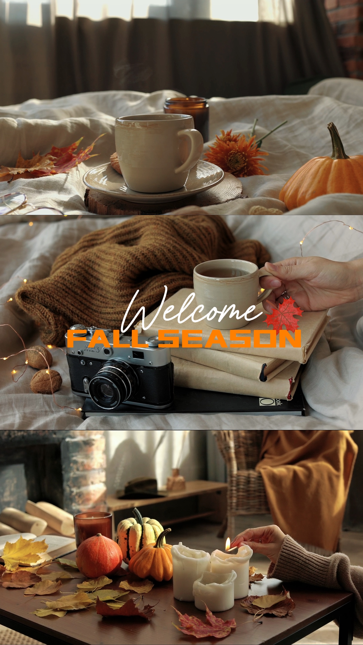 Fall season 