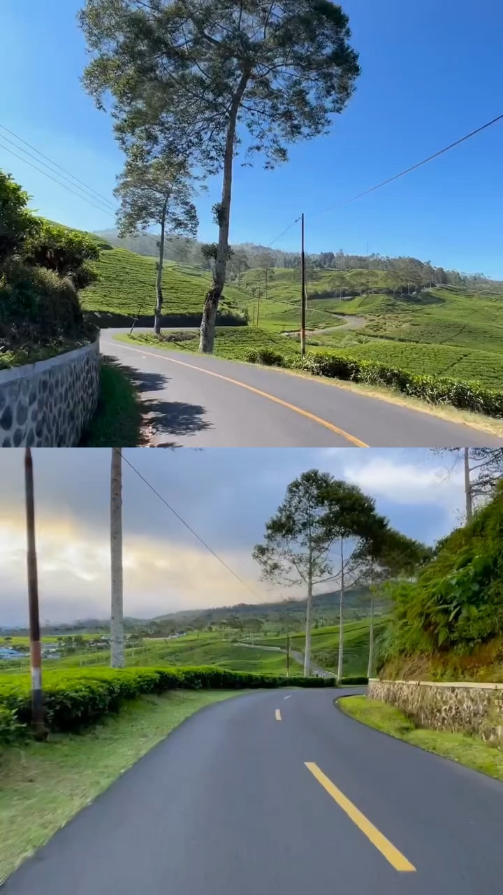 2 vídeos kolase viral