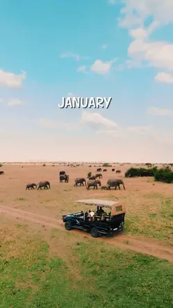 Monthly highlight