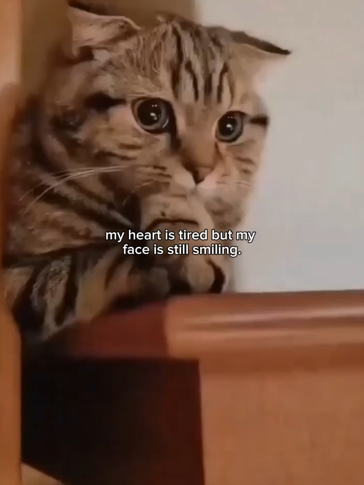 my heart is tired 