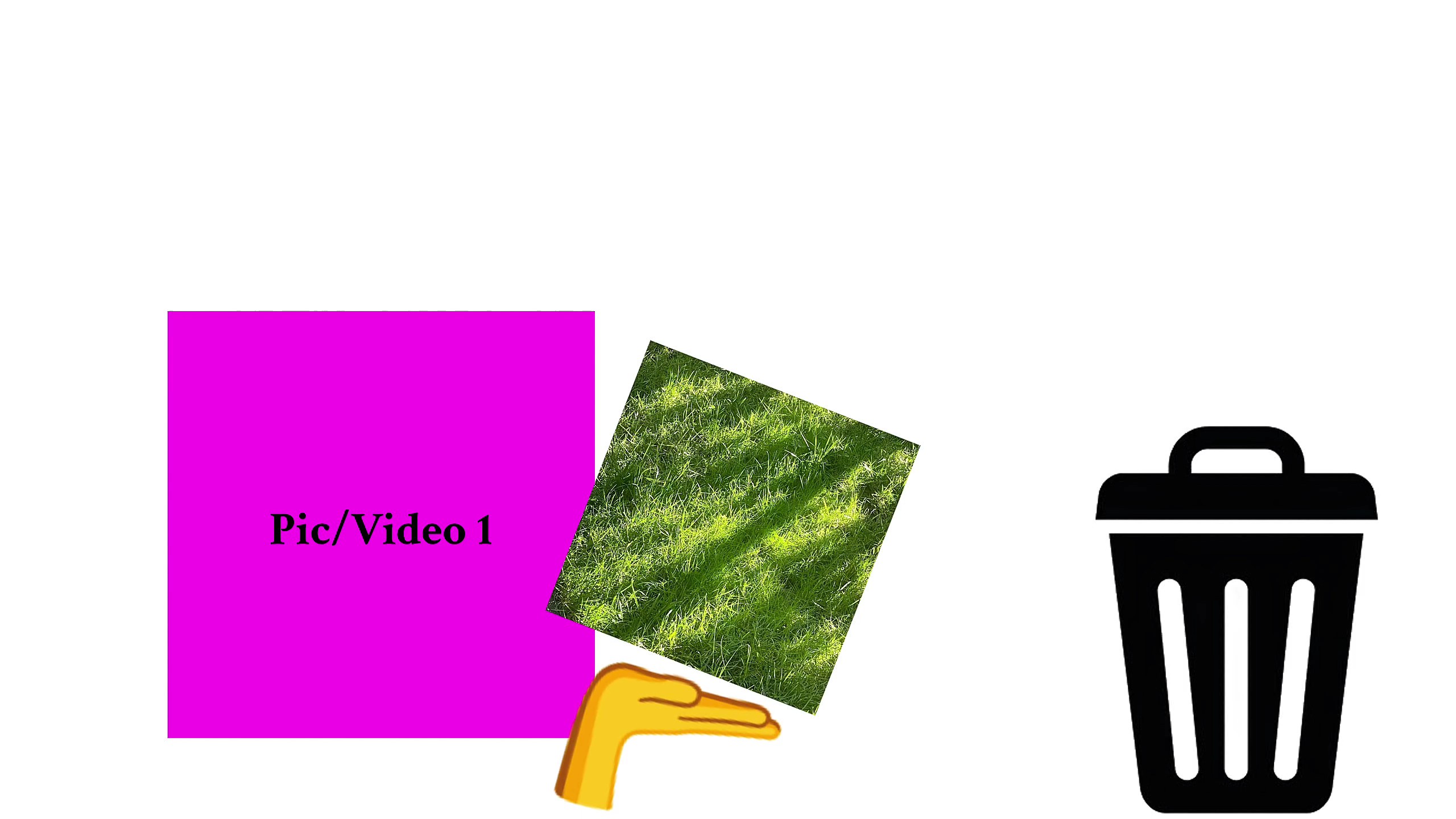 Trend Edit New 