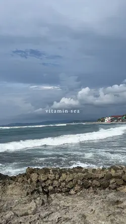 vitamin sea