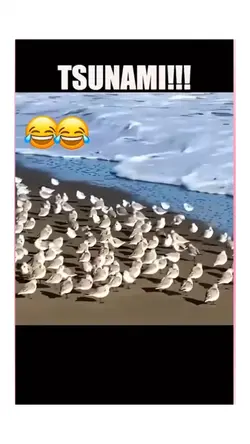 MEME FUNNY