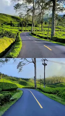 collage HD aesthetic