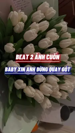 BEAT 2 ẢNH NHẸ