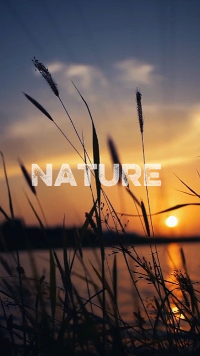 Natur 6 Clip