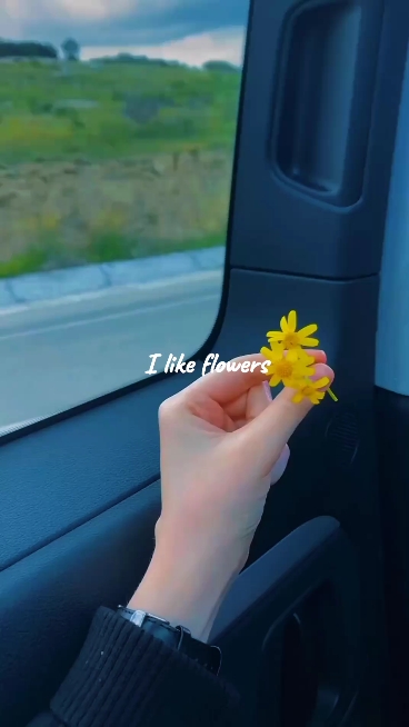 Ich mag Blumen