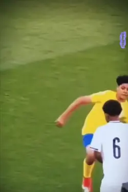 Cris Jr Fight Free