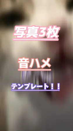 写真3枚