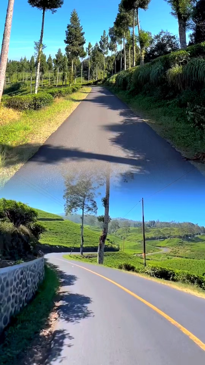 collage hd video 