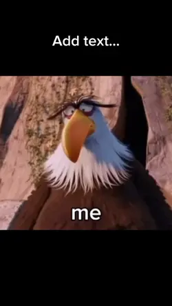 No meme