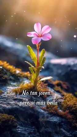 No importa tu edad.