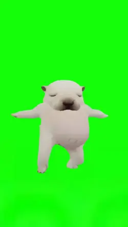 Clean My Belly Dog