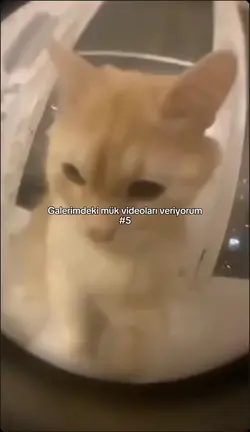 UuuUAaAağĞuVuv