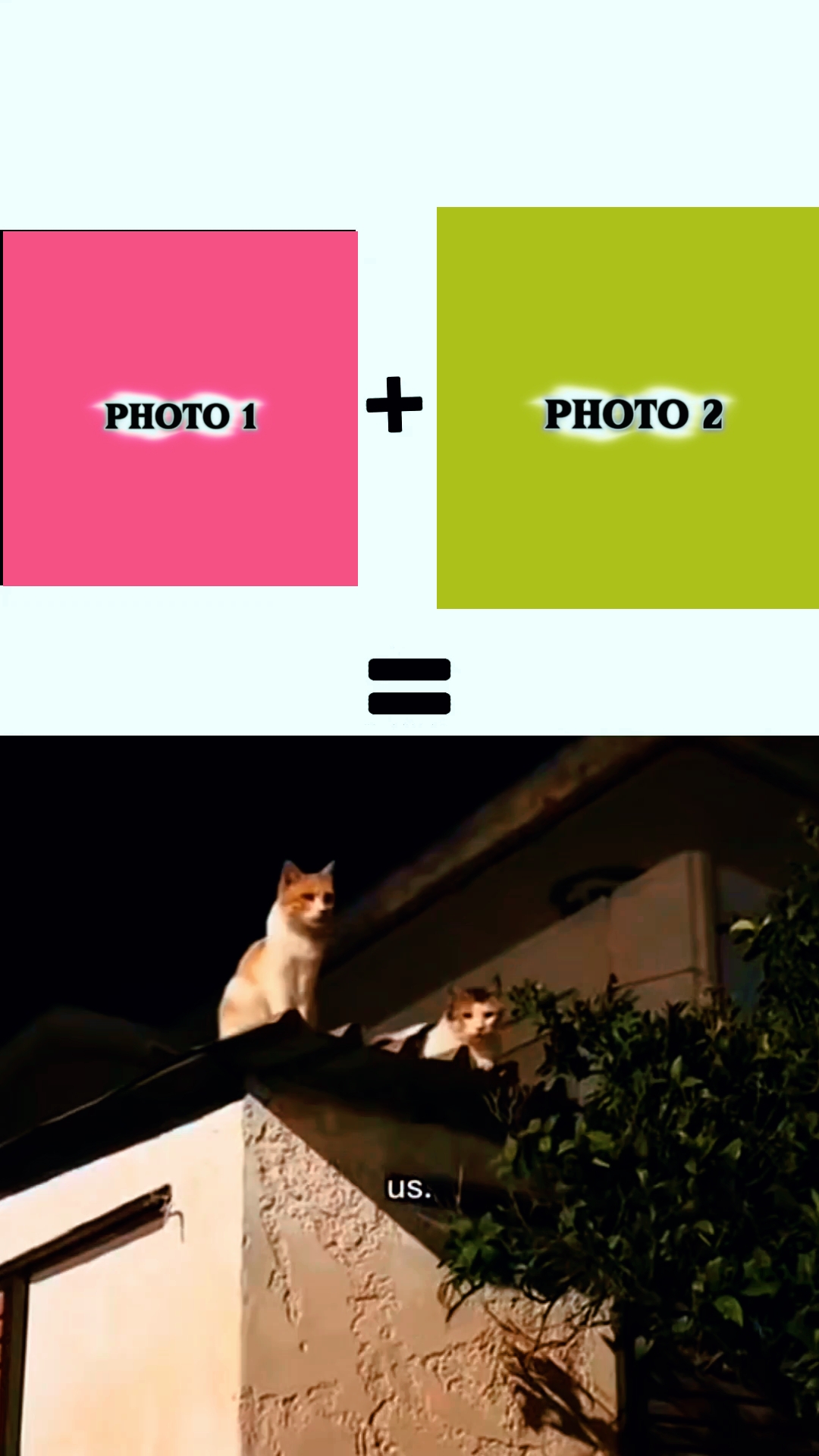 NEW EDIT MASTER