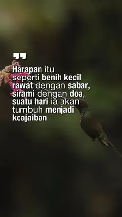 Harapan itu
