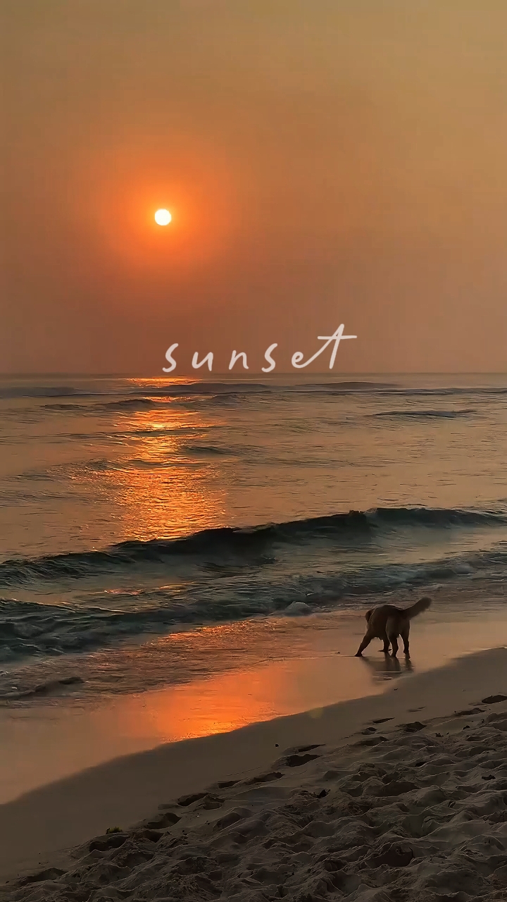 Sunset vlog