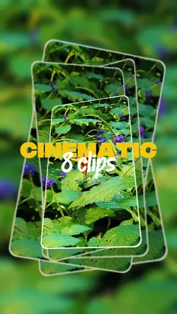 CINEMATIC 8 CLIPS