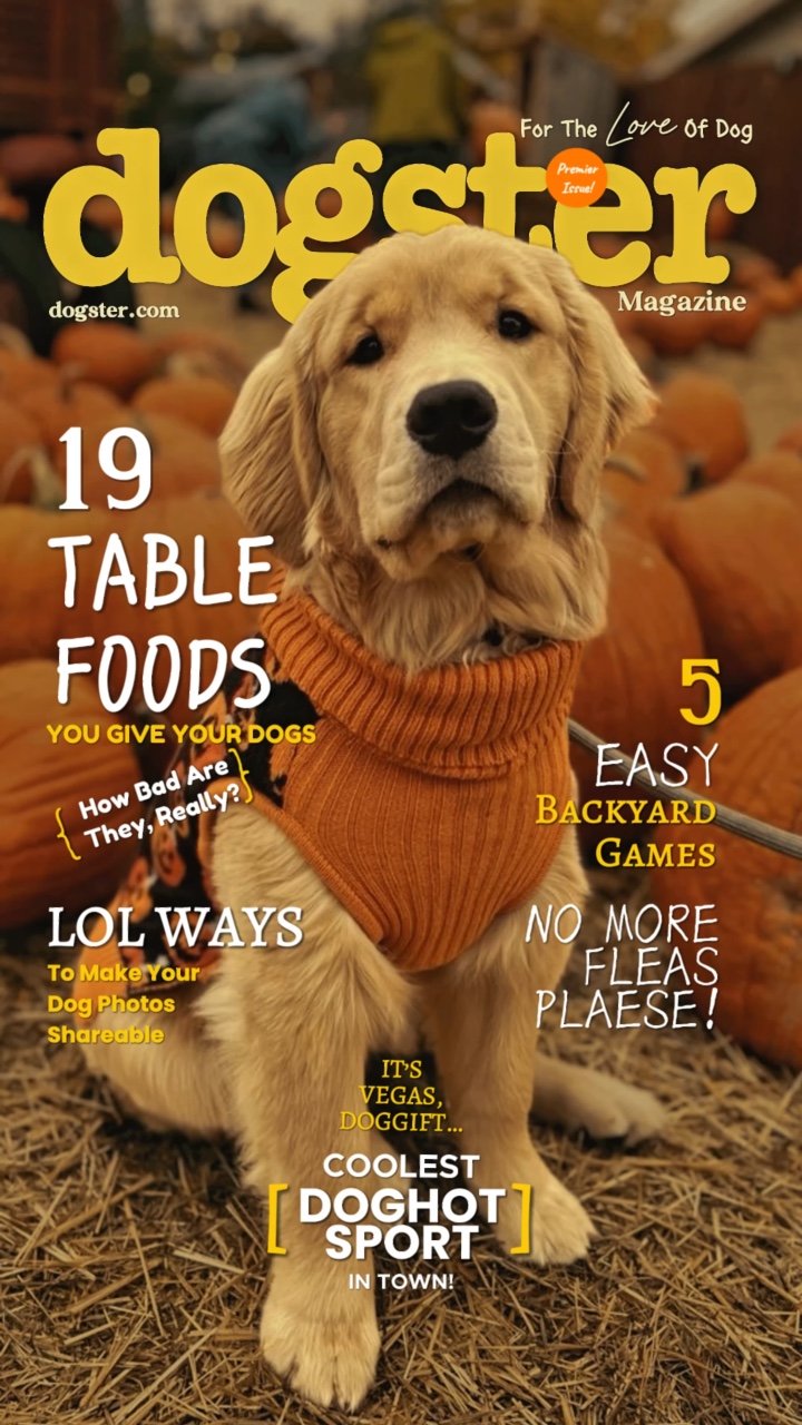 Revista de perros