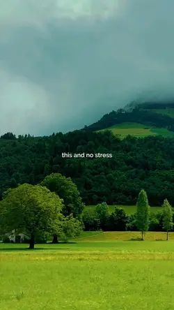 this and no stress
