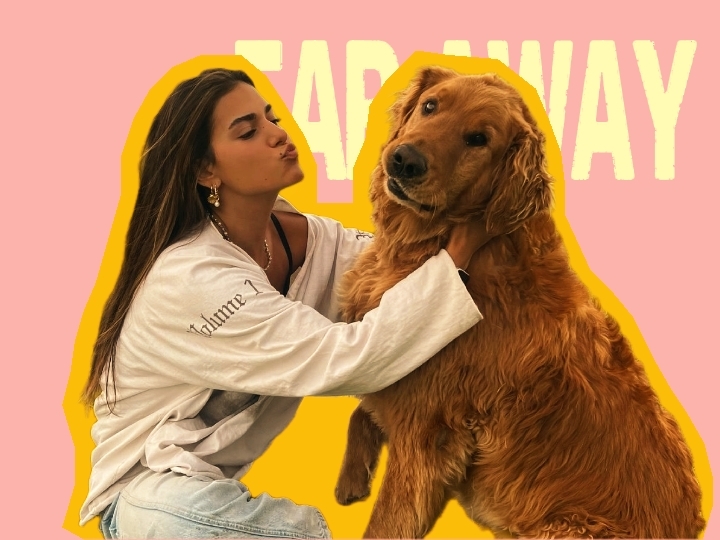 Mi perro y yo 