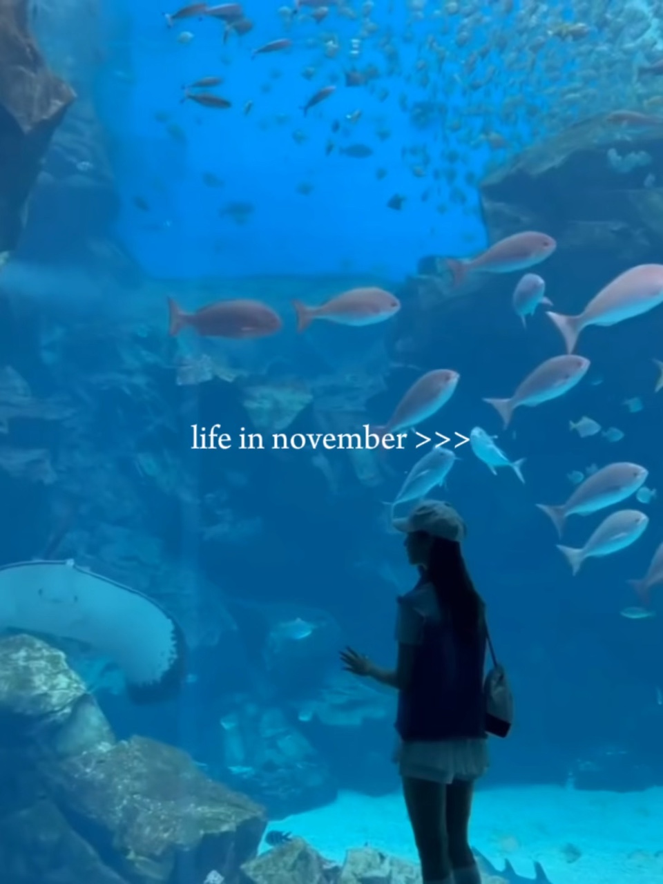 life in november 