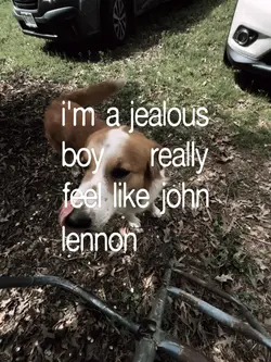 "js want real love"