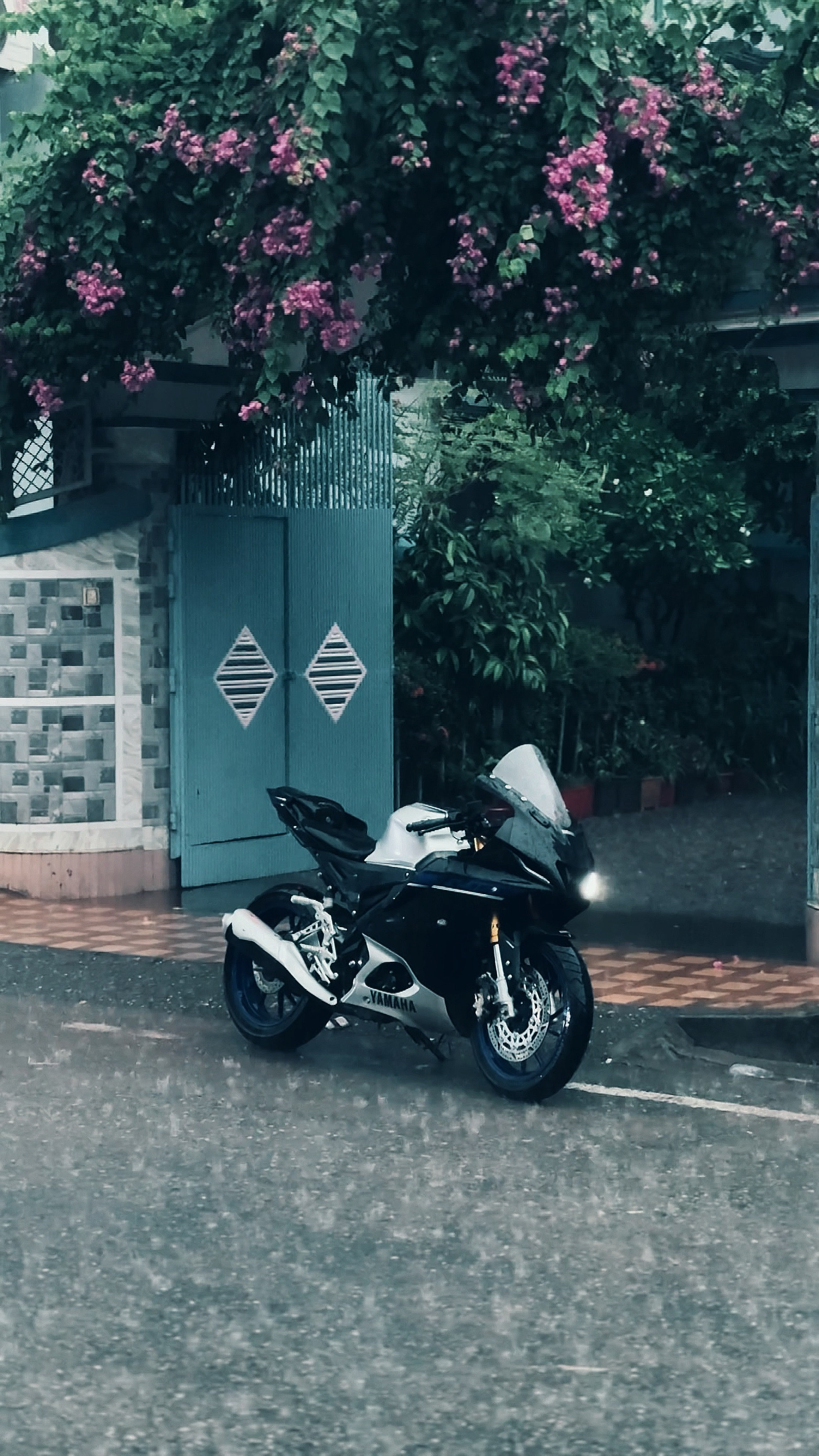 Weather 🌦️ 
