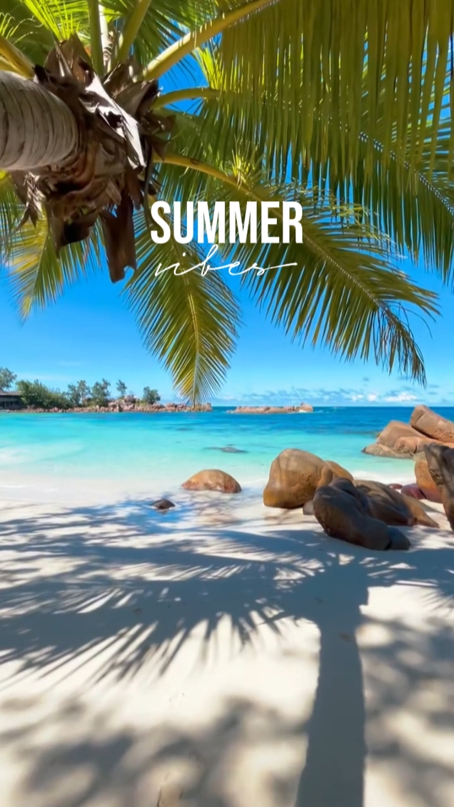 summer vibes