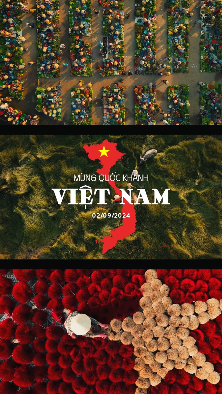 杜丽奇越南 🇻🇳