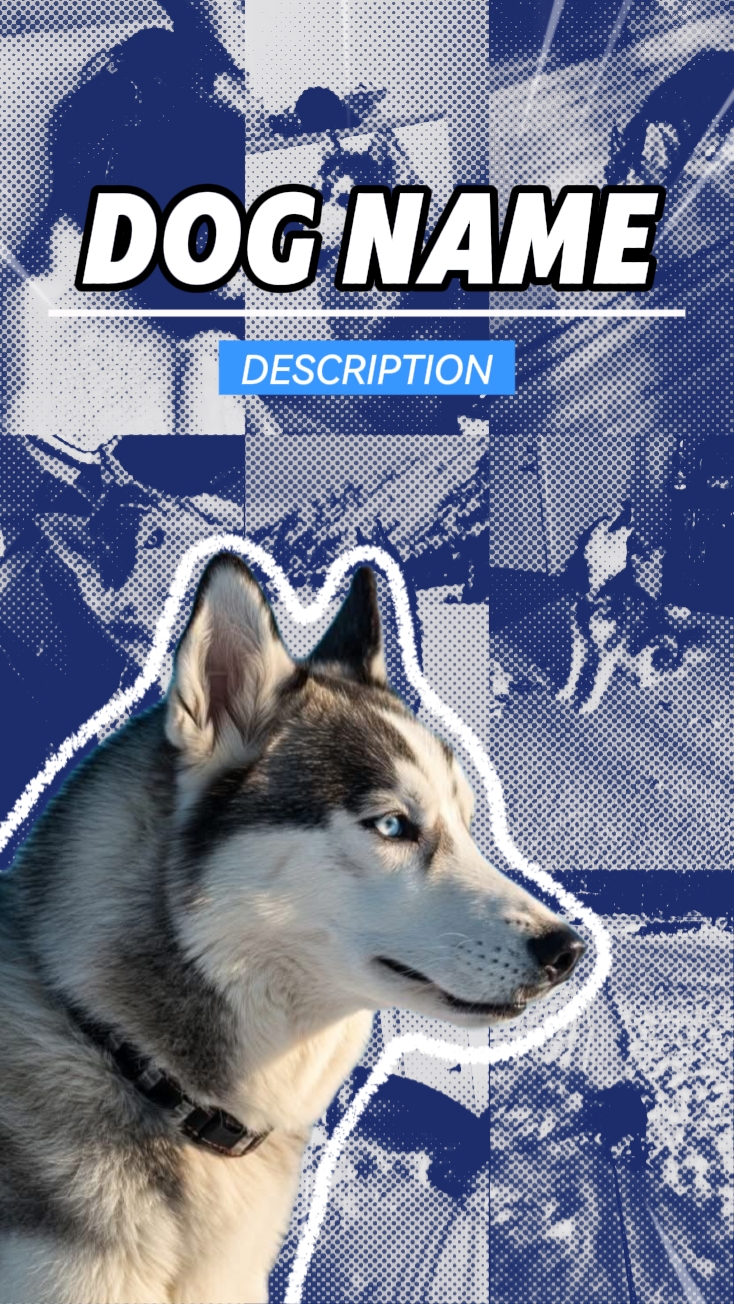 pet introduction