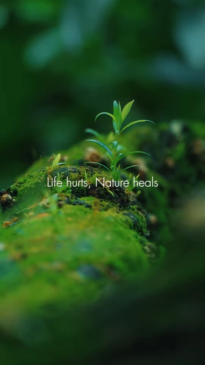 A natureza cura