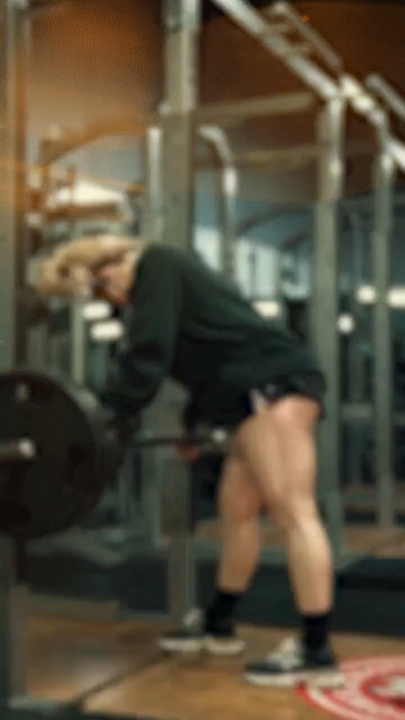 GYM TEMPLATE