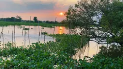 Nhạc Chill Mỗi Ngày 
