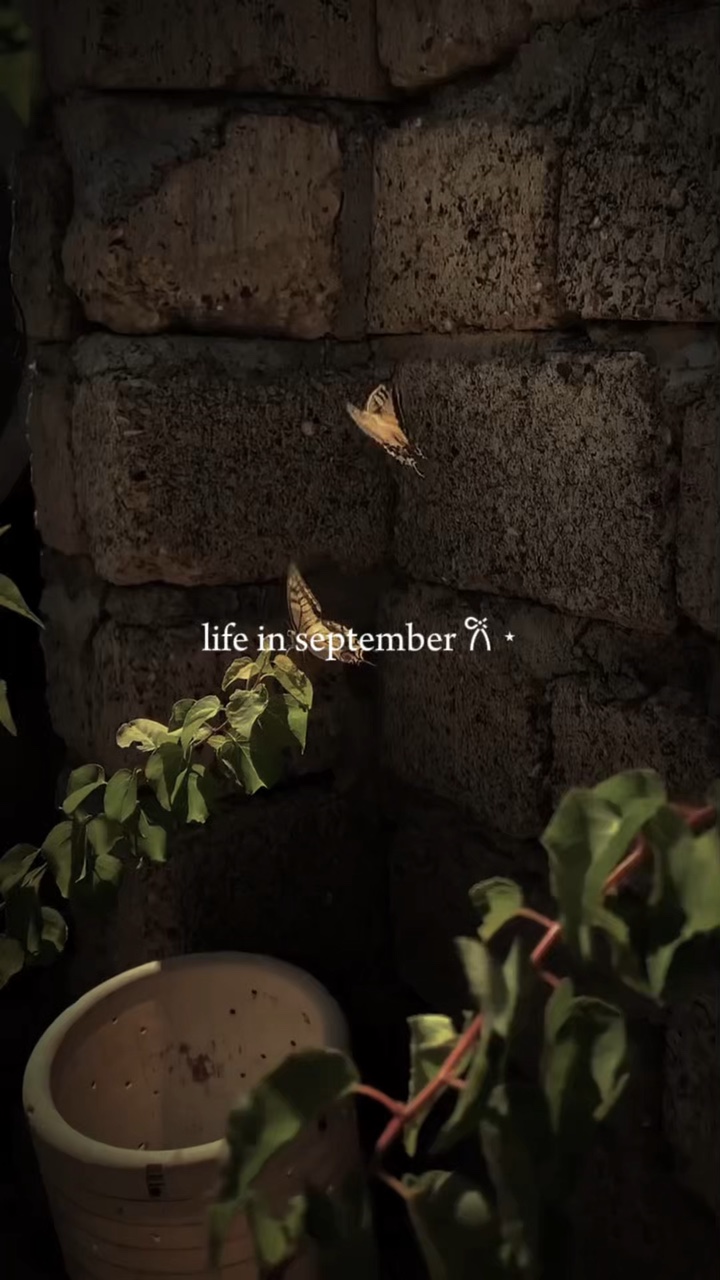 Vida em setembro