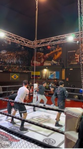 Boxeo